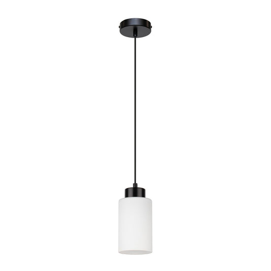 Bosco Lampa Wisząca 1xE27 Max.60W Czarny/Biały